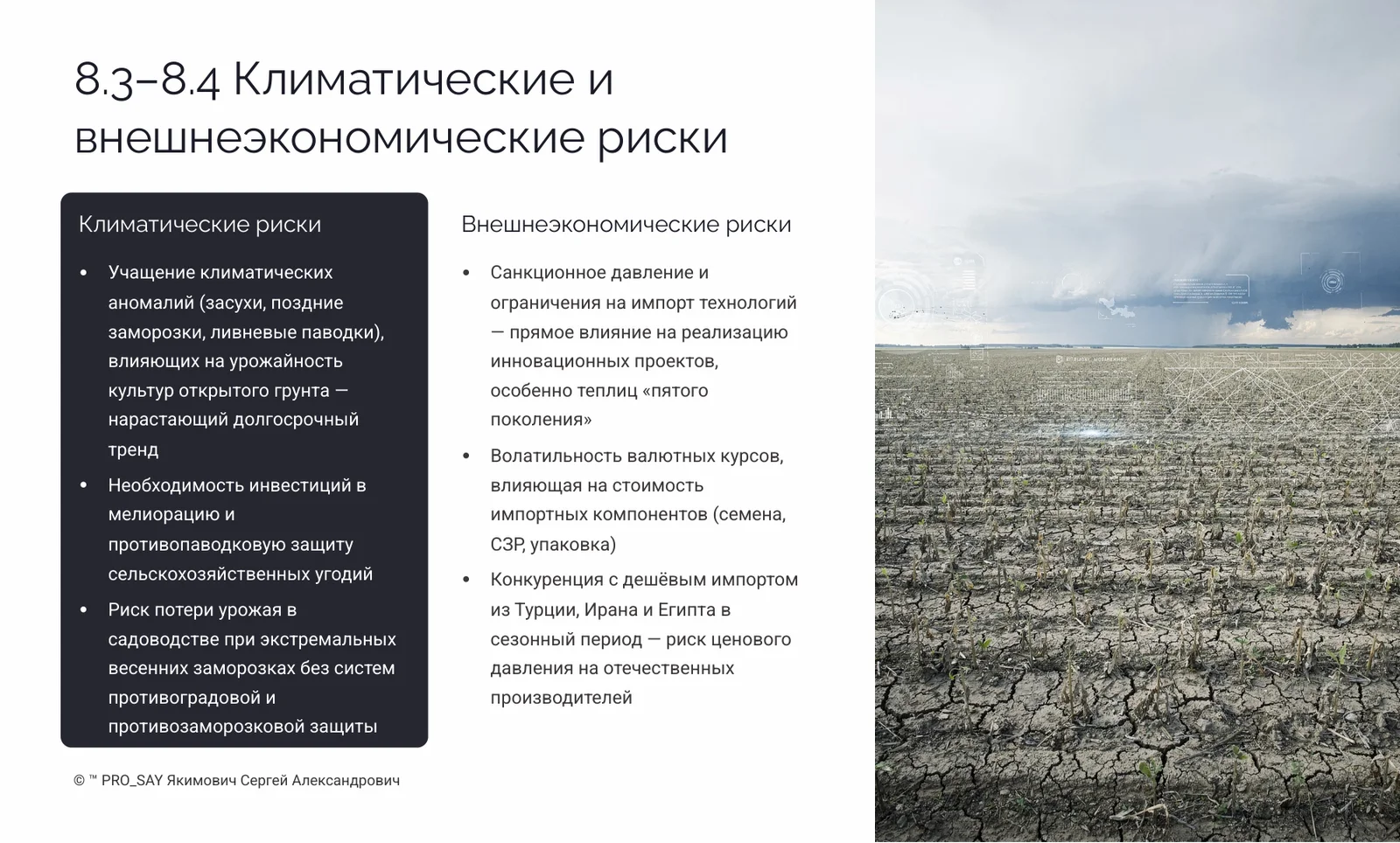 Прогнозное исследование рынка плодоовощной продукции Республики Беларусь 2026-2030 — слайд 31