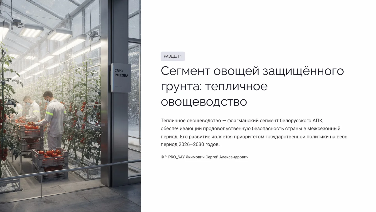 Прогнозное исследование рынка плодоовощной продукции Республики Беларусь 2026-2030 — слайд 4