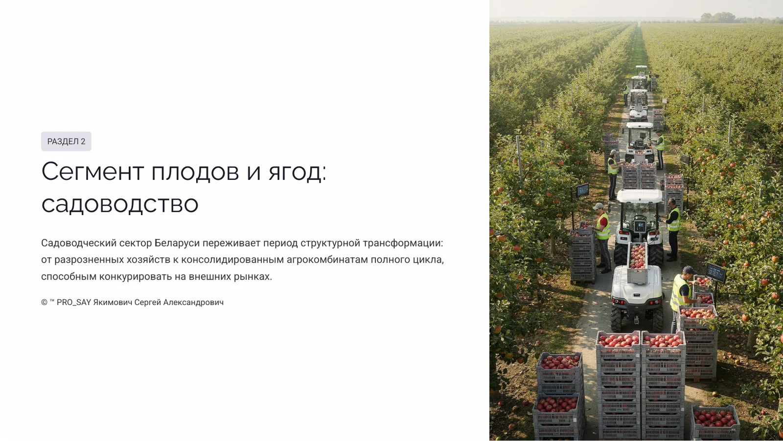 Прогнозное исследование рынка плодоовощной продукции Республики Беларусь 2026-2030 — слайд 9