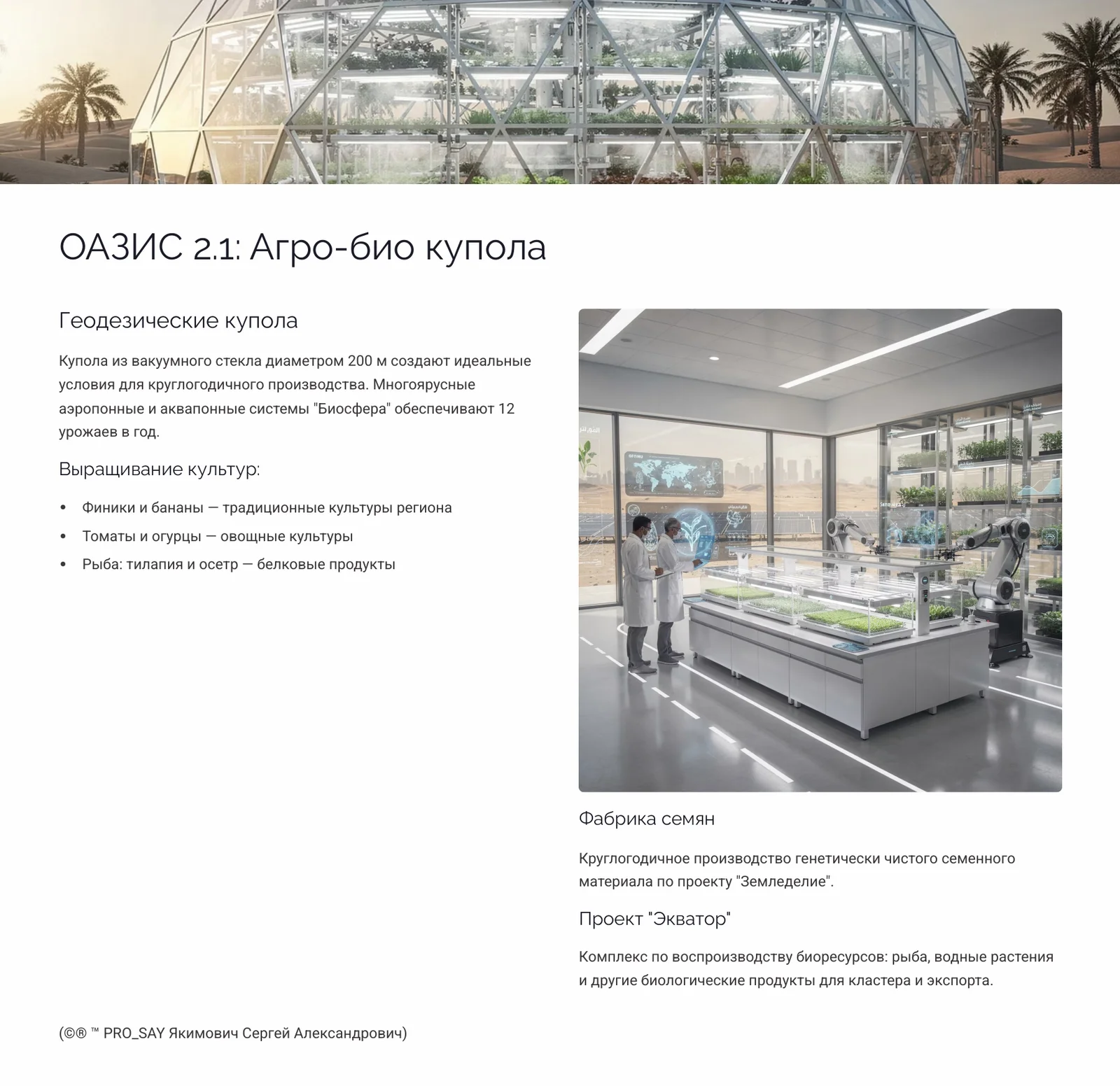 CRPC SAUDI HUB Стратегический технологический проект автономного производящего кластера нового типа для KSA “Королевства Саудовская Аравия до 2050 года” — слайд 9