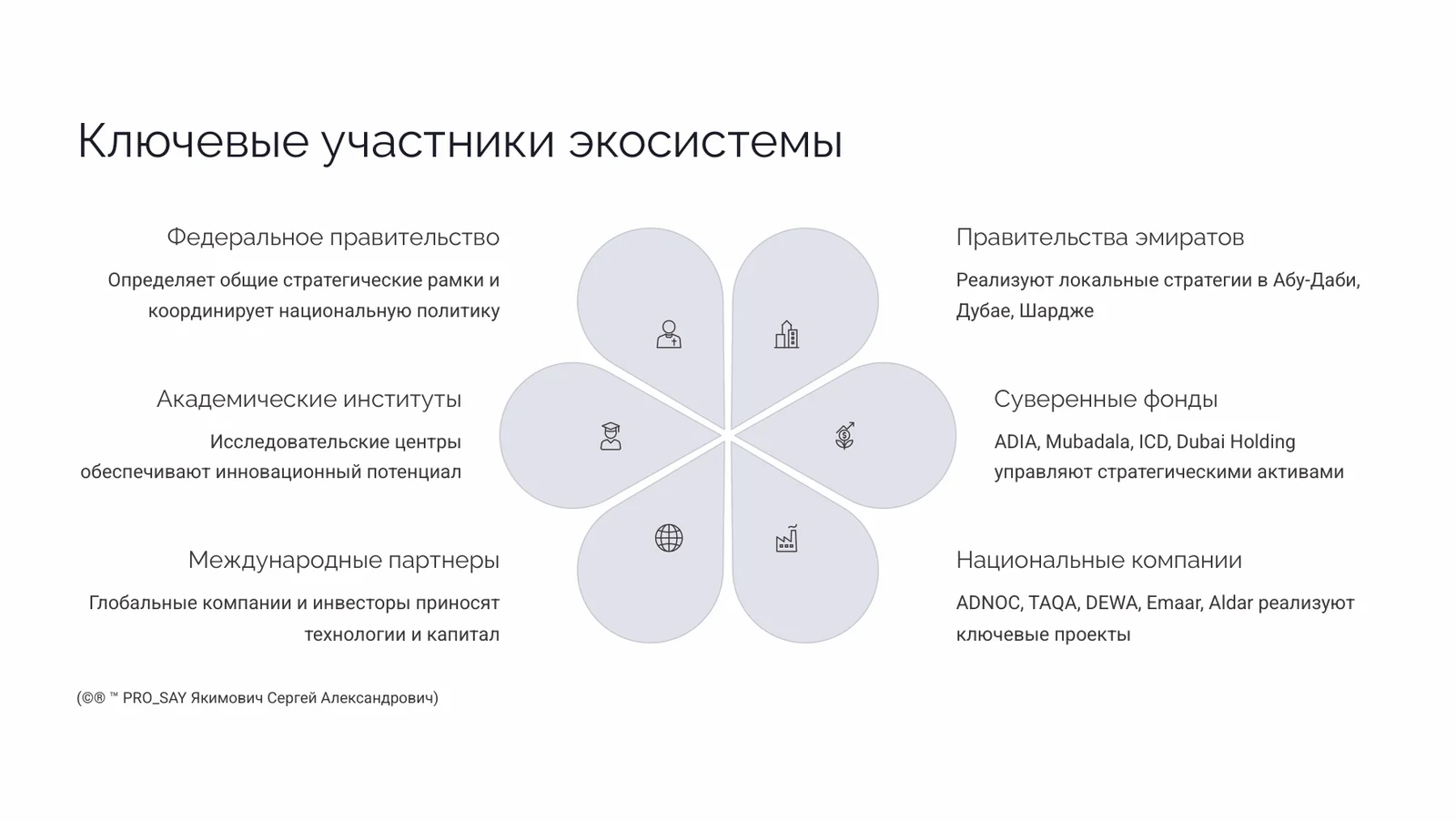 Глобальный анализ стратегических программ и проектов ОАЭ (2020-2071 гг.) — слайд 15