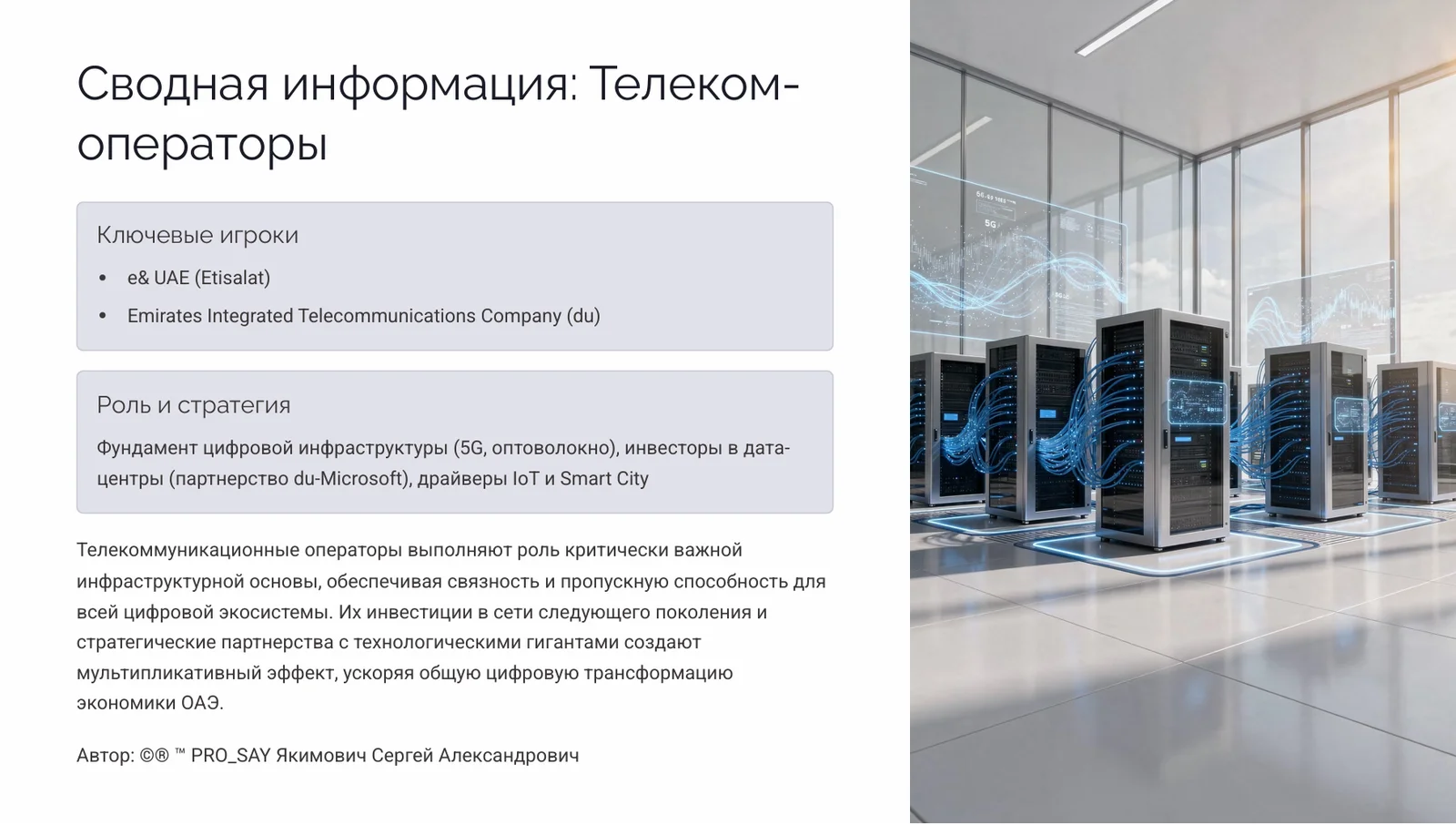 ОАЭ  Цифровая и энергетическая трансформация.  Стратегический анализ инфраструктуры — слайд 15