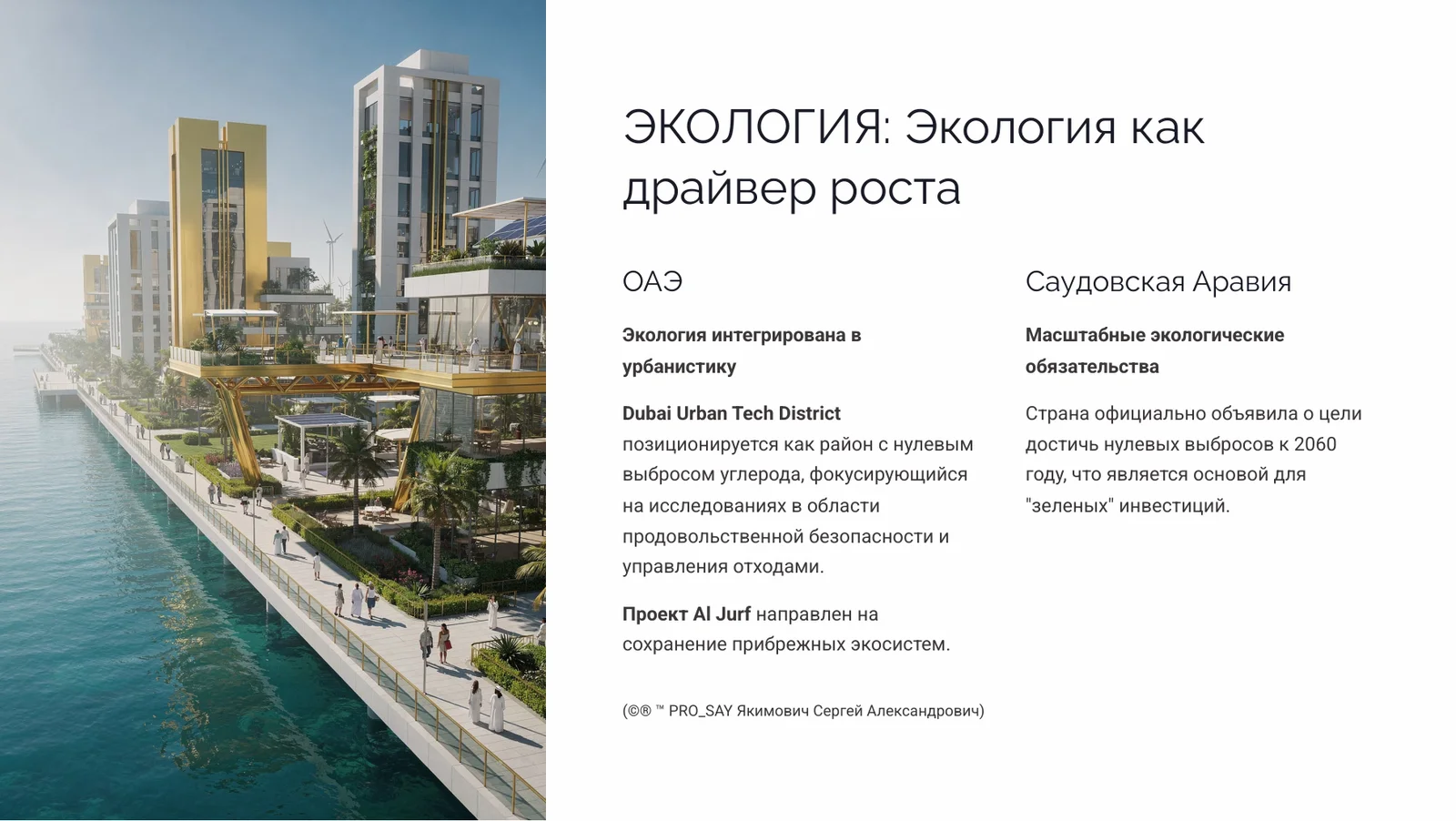 OAE & KSA Стратегическая архитектура развития государств Персидского залива — слайд 10