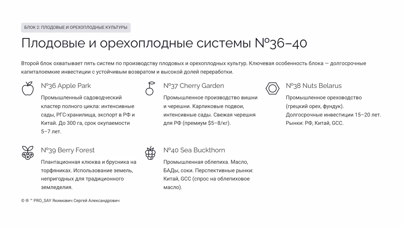Комплексные Экспортно-ориентированные системы бизнеса полного цикла — слайд 10