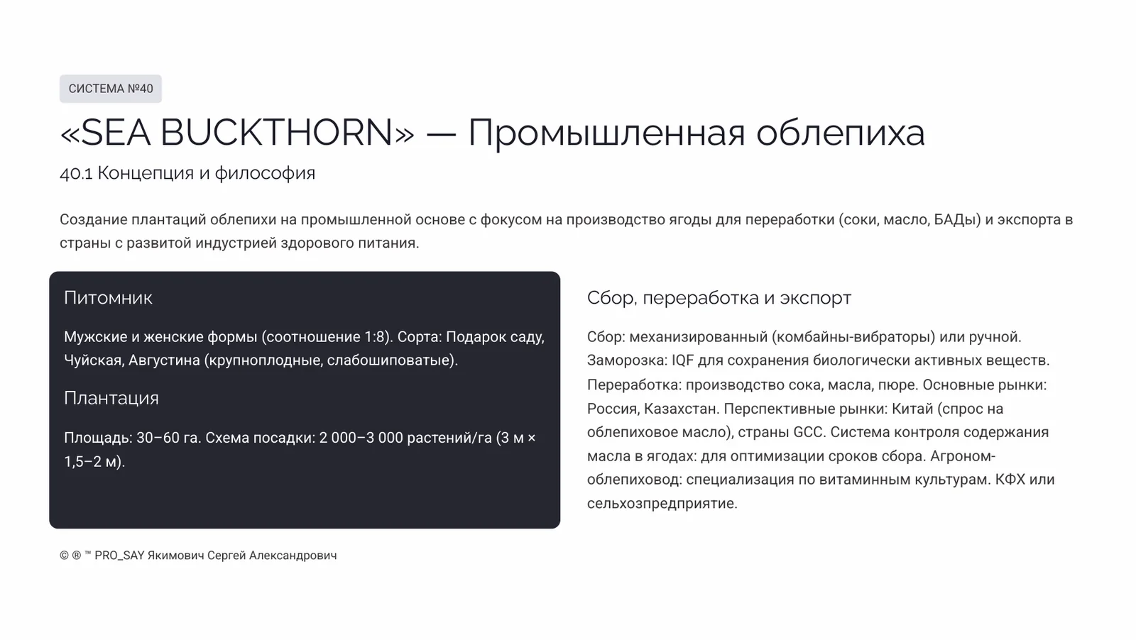 Комплексные Экспортно-ориентированные системы бизнеса полного цикла — слайд 15