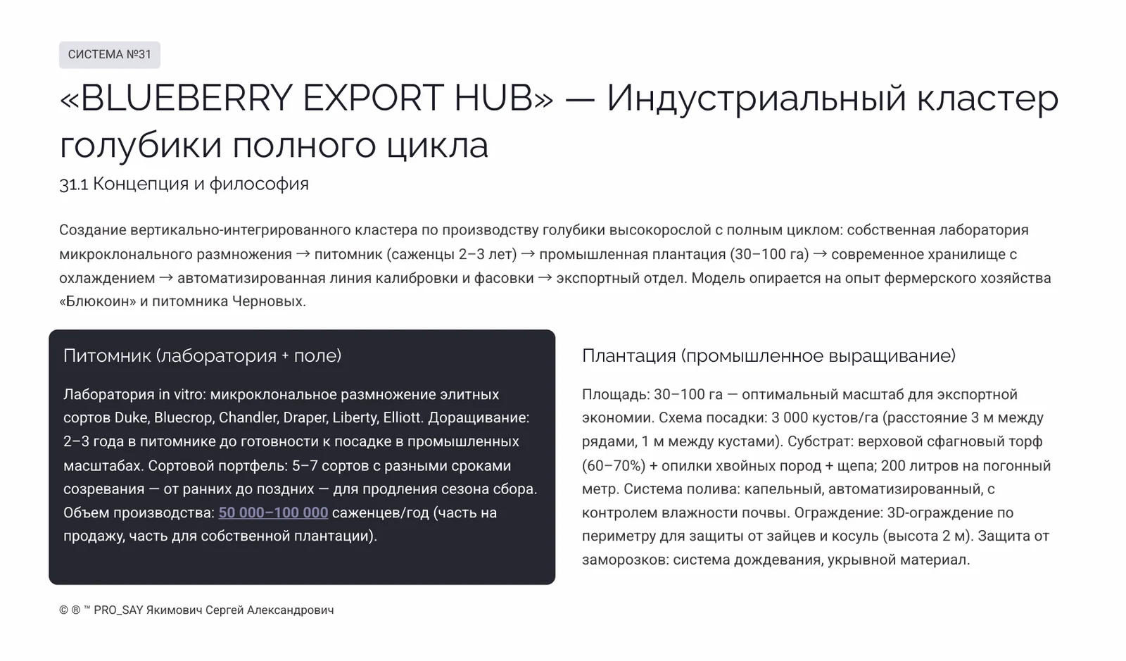 Комплексные Экспортно-ориентированные системы бизнеса полного цикла — слайд 4