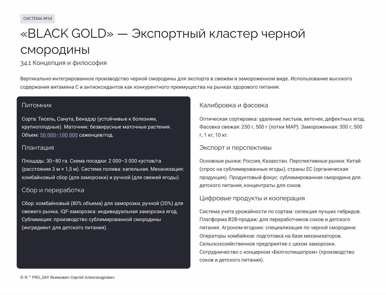 Комплексные Экспортно-ориентированные системы бизнеса полного цикла — слайд 8